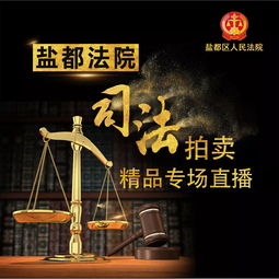盐都法院5.20司法拍卖精品等您带走，法规解读与操作指南