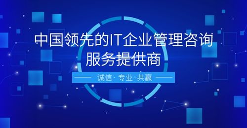 信息系统建设与服务体系评估 网络融资信息咨询的核心价值